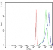 ALAS2 Antibody FACS. Flow cytometry analysis of human K562 cells stained with ALAS2 Antibody / Erythroid Heme Biosynthesis Enzyme Antibody demonstrates a clear rightward shift of the antibody-stained population (blue) relative to the isotype control (green), consistent with positive detection of ALAS2 expression. ALAS2 is an erythroid-specific mitochondrial enzyme that catalyzes the first and rate-limiting step of heme biosynthesis and is essential for hemoglobin production and erythroid maturation. K562 cells possess erythroid differentiation characteristics and are frequently utilized as a model for studies of hemoglobin synthesis and erythropoiesis. The observed fluorescence shift supports expression of ALAS2 and is consistent with its established role in erythroid lineage biology and heme metabolism. Cells were stained with 1 ug antibody per million cells following blocking with goat serum. Red = cells alone; Green = isotype control; Blue = ALAS2 antibody.