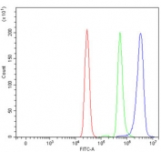 Flow cytometry testing of human U937 cells with Apoptotic protease-activating factor 1 antibody at 1ug/million cells (blocked with goat sera); Red=cells alone, Green=isotype control, Blue= Apoptotic protease-activating factor 1 antibody.