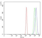 eIF-3 p48 Antibody U-2 OS FACS. Flow cytometry was performed on fixed and permeabilized human U-2 OS cells using eIF-3 p48 Antibody / INT6 Antibody at 1 ug/million cells following blocking with goat serum. Red: cells alone; green: isotype control; blue: eIF-3 p48 Antibody. The antibody-stained population displays a clear rightward shift relative to the isotype control, demonstrating specific intracellular detection of eIF-3 p48 (INT6/EIF3E). These results demonstrate that this INT6 Antibody is suitable for flow cytometric detection of eIF-3 p48 in human cells.