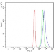 Flow cytometry testing of mouse RAW264.7 cells with Cd204 antibody at 1ug/million cells (blocked with goat sera); Red=cells alone, Green=isotype control, Blue= Cd204 antibody.