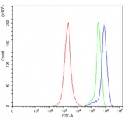 Flow cytometry testing of human Jurkat cells with TPR antibody at 1ug/million cells (blocked with goat sera); Red=cells alone, Green=isotype control, Blue= TPR antibody.
