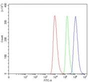 Flow cytometry testing of human HEL cells with CD28 antibody at 1ug/million cells (blocked with goat sera); Red=cells alone, Green=isotype control, Blue= CD58 antibody.