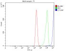 CD171 Antibody Human Caco-2 Colorectal Cancer Cell FACS. Flow cytometry analysis of fixed and permeabilized human Caco-2 colorectal cancer cells using CD171 Antibody / L1 Cell Adhesion Molecule Antibody at 1 ug/1x10^6 cells. Cells were blocked with 10% normal goat serum and incubated with primary antibody for 30 min at 20oC, followed by DyLight 488-conjugated goat anti-rabbit IgG. The blue histogram represents CD171 antibody staining, green represents the isotype control, and red represents the blank control. The strong fluorescence shift demonstrates detection of CD171 in Caco-2 cells by flow cytometry.