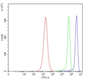 Flow cytometry testing of human JK cells with NDFIP2 antibody at 1ug/million cells (blocked with goat sera); Red=cells alone, Green=isotype control, Blue= NDFIP2 antibody.