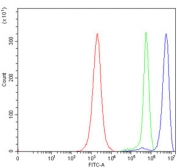 DBN1 Synaptic Plasticity Marker Antibody JK Cell FACS. Flow cytometry analysis of human JK cells using DBN1 antibody shows a clear rightward shift of the blue histogram relative to the isotype control (green) and unstained cells (red), indicating detection of DBN1 / Drebrin expression. The measurable intracellular signal supports detection of a cytoskeletal regulator associated with actin dynamics and synaptic plasticity pathways.