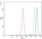 Flow cytometry testing of human JK cells with PMPCB antibody at 1ug/million cells (blocked with goat sera); Red=cells alone, Green=isotype control, Blue= PMPCB antibody.
