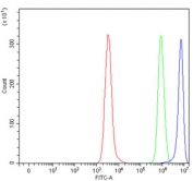 HLA-DRA Antibody for FACS testing of human Daudi cells by flow cytometry. Mouse monoclonal HLA-DRA antibody (clone 5B13F7) was used at 1 ug per million cells after blocking with goat serum. Red histogram shows cells alone, green represents isotype control staining, and blue indicates HLA-DRA antibody staining. A clear rightward shift indicates expression of Human leukocyte antigen DR alpha / HLA-DRA on Daudi B lymphoblastoid cells.