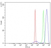 ELK1 Antibody FACS. Flow cytometry testing of human SiHa cells with ELK1 antibody at 1ug/million cells (blocked with goat sera); Red=cells alone, Green=isotype control, Blue= ELK1 antibody.