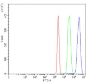 Flow cytometry testing of human HL60 cells with MRE11 antibody at 1ug/million cells (blocked with goat sera); Red=cells alone, Green=isotype control, Blue= MRE11 antibody.
