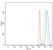 Flow cytometry testing of human PC-3 cells with AMPK gamma 2 antibody at 1ug/million cells (blocked with goat sera); Red=cells alone, Green=isotype control, Blue= AMPK gamma 2 antibody.