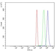 RAD21 Antibody Human Immune Cell FACS. Flow cytometric analysis of human HL60 cells using RAD21 Antibody at 1 ug/million cells. Cells were blocked with goat serum and compared against cells alone (red) and isotype control (green). RAD21 Antibody, a Cohesin Complex Protein Antibody, demonstrates a clear positive shift (blue), confirming RAD21 detection in HL60 cells and supporting its use for studying cohesin complex function, chromosome organization, and genome stability pathways.