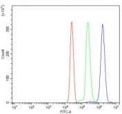 Flow cytometry testing of human U937 cells with ATP5A1 antibody at 1ug/million cells (blocked with goat sera); Red=cells alone, Green=isotype control, Blue= ATP5A1 antibody.