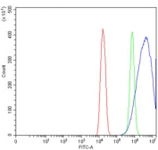 NEDD4 Antibody FACS. Flow cytometry testing of mouse HEPA1-6 cells with NEDD4 antibody at 1ug/million cells (blocked with goat sera); Red=cells alone, Green=isotype control, Blue= NEDD4 antibody.