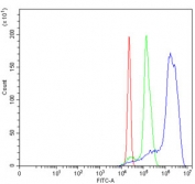 Flow cytometry testing of human U937 cells with NOP58 antibody at 1ug/million cells (blocked with goat sera); Red=cells alone, Green=isotype control, Blue= NOP58 antibody.