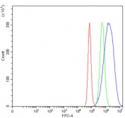 Flow cytometry testing of human HeLa cells with TIP49A antibody at 1ug/million cells (blocked with goat sera); Red=cells alone, Green=isotype control, Blue= TIP49A antibody.