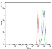 Flow cytometry testing of fixed and permeabilized human HeLa cells with SEPT9 antibody at 1ug/million cells (blocked with goat sera); Red=cells alone, Green=isotype control, Blue= SEPT9 antibody.