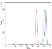 Flow cytometry testing of fixed and permeabilized human U-251 cells with SEPT9 antibody at 1ug/million cells (blocked with goat sera); Red=cells alone, Green=isotype control, Blue= SEPT9 antibody.