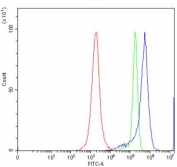 IRF7 Antibody Human JK Cell FACS. Flow cytometry analysis of human JK cells using IRF7 Antibody / Antiviral Response Protein Antibody demonstrates a clear rightward shift of the positive cell population (blue) relative to the isotype control (green) and unstained cells (red), consistent with specific detection of Interferon Regulatory Factor 7 (IRF7). IRF7 is a transcription factor that functions as a master regulator of type I interferon production and antiviral immune responses. The observed staining profile supports expression of IRF7 in JK cells and is consistent with its established role in innate immune signaling, interferon pathway activation, and host defense mechanisms. Cells were stained using 1 Âµg antibody per million cells following blocking with goat serum. Red = cells alone; Green = isotype control; Blue = IRF7 antibody.