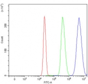 Flow cytometry testing of human HepG2 cells with PPAR alpha antibody at 1ug/million cells (blocked with goat sera); Red=cells alone, Green=isotype control, Blue= PPAR alpha antibody.