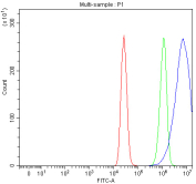 Flow cytometry testing of fixed and permeabilized human MCF7 cells with ACSS2 antibody at 1ug/million cells (blocked with goat sera); Red=cells alone, Green=isotype control, Blue= ACSS2 antibody.