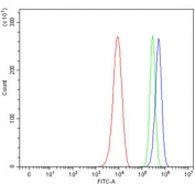 Flow cytometry testing of mouse RAW264.7 cells with Adgrg1 antibody at 1ug/million cells (blocked with goat sera); Red=cells alone, Green=isotype control, Blue= Adgrg1 antibody.