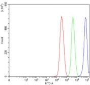 Flow cytometry testing of human 293T cells with DHX29 antibody at 1ug/million cells (blocked with goat sera); Red=cells alone, Green=isotype control, Blue= DHX29 antibody.