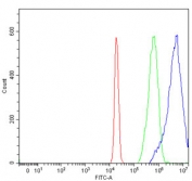 Flow cytometry testing of human A431 cells with HOXC4 antibody at 1ug/million cells (blocked with goat sera); Red=cells alone, Green=isotype control, Blue= HOXC4 antibody.