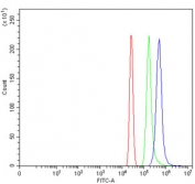 Flow cytometry testing of human HL60 cells with Zinc finger MYM-type protein 1 antibody at 1ug/million cells (blocked with goat sera); Red=cells alone, Green=isotype control, Blue= Zinc finger MYM-type protein 1 antibody.