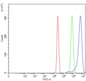 Flow cytometry testing of human U-2 OS cells with Rho-associated protein kinase 1 antibody at 1ug/million cells (blocked with goat sera); Red=cells alone, Green=isotype control, Blue= Rho-associated protein kinase 1 antibody.