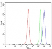 Flow cytometry testing of human Jurkat cells with Sirtuin 5 antibody at 1ug/million cells (blocked with goat sera); Red=cells alone, Green=isotype control, Blue= Sirtuin 5 antibody.