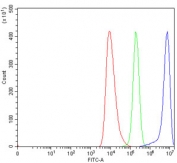 INF2 Antibody HEL Cell FACS. Flow cytometry testing of human HEL cells with INF2 Antibody at 1 ug/million cells. Cells were blocked with goat serum prior to incubation with the primary antibody. Red histogram represents cells alone, green represents isotype control and blue represents INF2 antibody staining. INF2 Antibody / Actin Regulation Protein Antibody demonstrates positive detection of Inverted Formin 2 expression in HEL cells and supports studies of actin cytoskeleton remodeling, intracellular organization and cell structure regulation pathways.