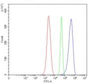 SERBP1 Antibody Mouse ANA-1 FACS. Flow cytometry testing of mouse ANA-1 cells with SERBP1 antibody at 1ug/million cells (blocked with goat sera); Red=cells alone, Green=isotype control, Blue= SERBP1 antibody.