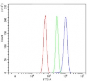 SERBP1 Antibody Rat RH35 FACS. Flow cytometry testing of rat RH35 cells with SERBP1 antibody at 1ug/million cells (blocked with goat sera); Red=cells alone, Green=isotype control, Blue= SERBP1 antibody.