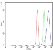 Flow cytometry testing of human U-251 cells with TRAT1 antibody at 1ug/million cells (blocked with goat sera); Red=cells alone, Green=isotype control, Blue= TRAT1 antibody.