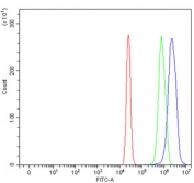 Flow cytometry testing of human U-2 OS cells with SCML1 antibody at 1ug/million cells (blocked with goat sera); Red=cells alone, Green=isotype control, Blue= SCML1 antibody.