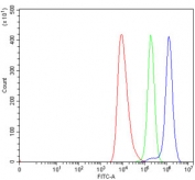 Flow cytometry testing of human HEL cells with TRIM67 antibody at 1ug/million cells (blocked with goat sera); Red=cells alone, Green=isotype control, Blue= TRIM67 antibody.