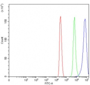 Flow cytometry testing of mouse HEPA1-6 cells with Timd2 antibody at 1ug/million cells (blocked with goat sera); Red=cells alone, Green=isotype control, Blue= Timd2 antibody.