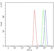 Flow cytometry testing of human U-251 cells with APG4C antibody at 1ug/million cells (blocked with goat sera); Red=cells alone, Green=isotype control, Blue= APG4C antibody.