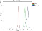 TRNAU1AP Antibody by FACS in Human Jurkat Cells. Flow cytometry analysis of fixed and permeabilized human Jurkat cells using rabbit polyclonal TRNAU1AP antibody. The SECp43 antibody-stained population (blue) exhibits a clear rightward fluorescence shift relative to the isotype control (green) and unstained cells (red). The distinct fluorescence distributions demonstrate intracellular detection of TRNAU1AP under the tested conditions.