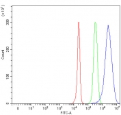 Alpha-1-Antichymotrypsin Antibody FACS. Flow cytometry testing of human HepG2 cells with Alpha-1-Antichymotrypsin antibody at 1ug/million cells (blocked with goat sera); Red=cells alone, Green=isotype control, Blue= Alpha-1-Antichymotrypsin antibody.