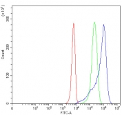 SLC22A8 / OAT3 Antibody K562 FACS. Flow cytometry analysis of human K562 cells using SLC22A8 Antibody / Organic Anion Transporter 3 (OAT3) Antibody demonstrates a clear positive fluorescence shift relative to both unstained cells and isotype control-treated cells, consistent with expression of SLC22A8/OAT3. Overlay histograms compare cells alone (red), isotype control antibody (green), and SLC22A8/OAT3 antibody (blue), with the specific antibody producing a marked rightward shift indicative of target-associated binding. Cells were blocked with goat serum prior to staining, and antibody was used at 1 Î¼g per million cells. These results support application of the antibody for flow cytometric detection of OAT3 expression in human cell populations.