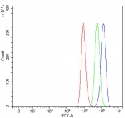 Flow cytometry testing of human A549 cells with SAP130 antibody at 1ug/million cells (blocked with goat sera); Red=cells alone, Green=isotype control, Blue= SAP130 antibody.