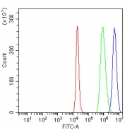Flow cytometry testing of fixed and permeabilized human SH-SY5Y cells with Abelson interactor 2 antibody at 1ug/million cells (blocked with goat sera); Red=cells alone, Green=isotype control, Blue= Abelson interactor 2 antibody.