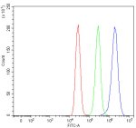 SNX9 Antibody Human Breast Cancer Cell FACS. Flow cytometry testing of human MCF7 cells with SNX9 Antibody at 1 ug/million cells. Cells were blocked with goat serum prior to incubation with the primary antibody. Red histogram represents cells alone, green represents isotype control and blue represents SNX9 antibody staining. SNX9 Antibody, an endocytic trafficking protein marker, demonstrates positive detection of Sorting Nexin 9 expression in MCF7 cells and supports analysis of membrane remodeling, vesicle transport and intracellular trafficking pathways.