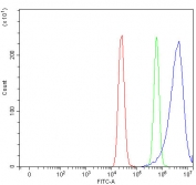 Flow cytometry testing of human MCF7 cells with ArgRS antibody at 1ug/million cells (blocked with goat sera); Red=cells alone, Green=isotype control, Blue= ArgRS antibody.