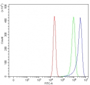 Flow cytometry testing of human RT4 cells with Paraoxonase 2 antibody at 1ug/million cells (blocked with goat sera); Red=cells alone, Green=isotype control, Blue= Paraoxonase 2 antibody.