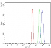 Flow cytometry testing of human HepG2 cells with RAVER1 antibody at 1ug/million cells (blocked with goat sera); Red=cells alone, Green=isotype control, Blue= RAVER1 antibody.
