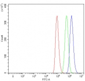 Flow cytometry testing of human A549 cells with SHQ1 antibody at 1ug/million cells (blocked with goat sera); Red=cells alone, Green=isotype control, Blue= SHQ1 antibody.