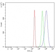 Flow cytometry testing of human HepG2 cells with Ribonuclease H1 antibody at 1ug/million cells (blocked with goat sera); Red=cells alone, Green=isotype control, Blue= Ribonuclease H1 antibody.