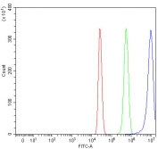 Flow cytometry testing of human HepG2 cells with RPS14 antibody at 1ug/million cells (blocked with goat sera); Red=cells alone, Green=isotype control, Blue= RPS14 antibody.